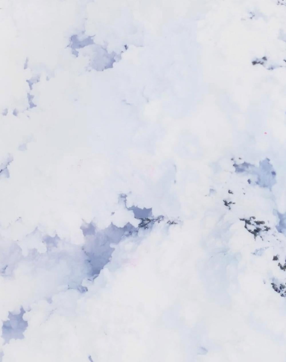 WHITE 09, H-338 – Risaku Suzuki, Nature, Snow, Forest, White, Winter, Japan Art For Sale 2