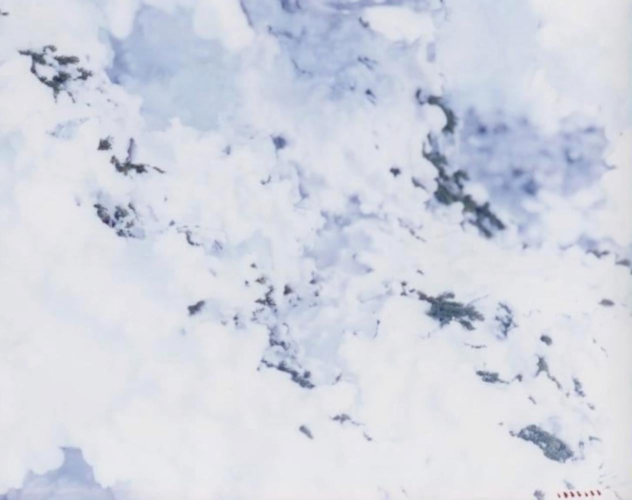 WHITE 09, H-338 – Risaku Suzuki, Nature, Snow, Forest, White, Winter, Japan Art For Sale 3