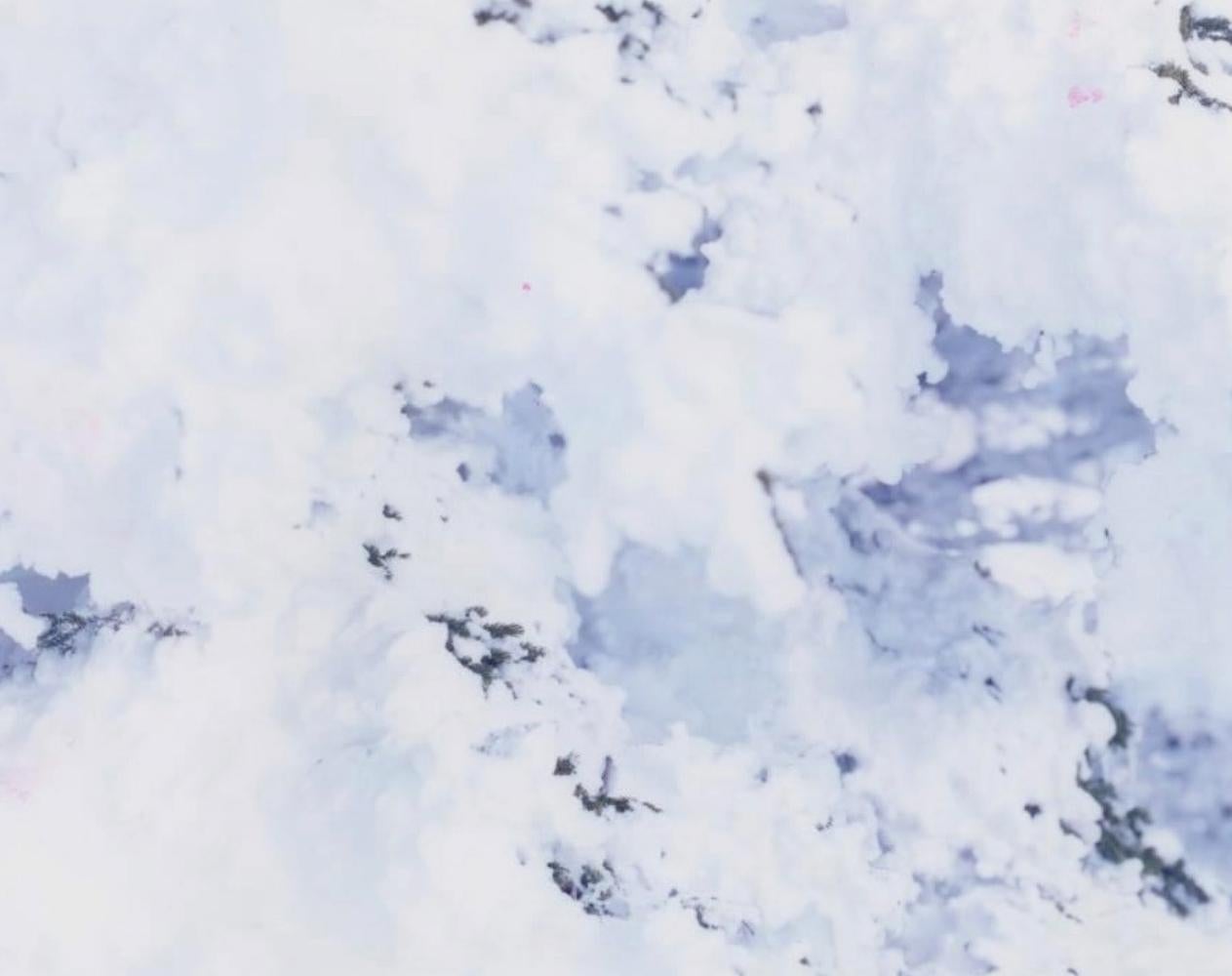 WHITE 09, H-338 – Risaku Suzuki, Nature, Snow, Forest, White, Winter, Japan Art For Sale 4
