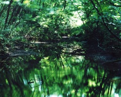 Wasserspiegel 16, WM-653 - Risaku Suzuki, Natur, Baum, Wasser, Spiegel, Reflexion