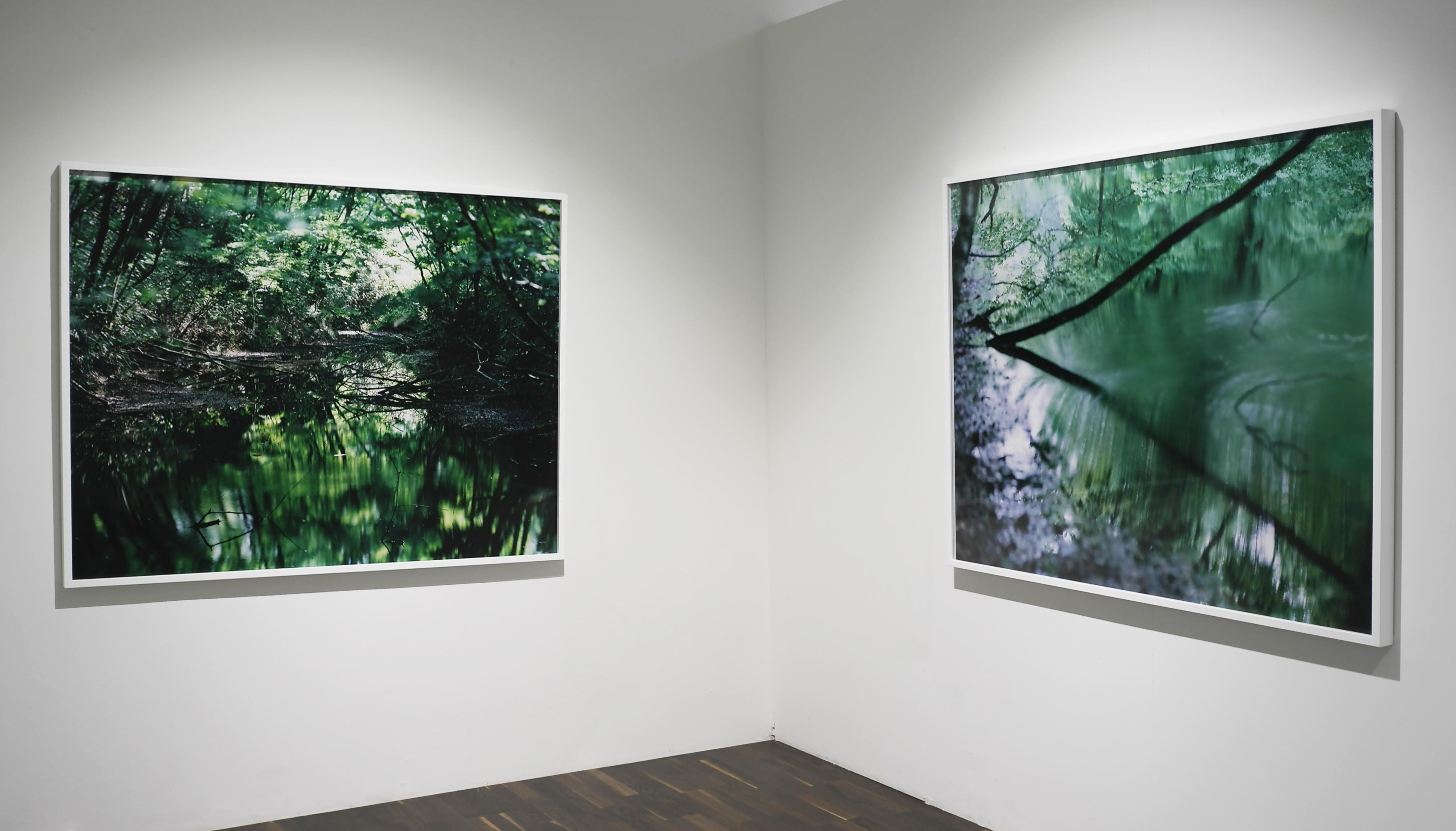 Water Mirror 16, WM-653 – Risaku Suzuki, Nature, Tree, Water, Mirror, Reflection For Sale 4