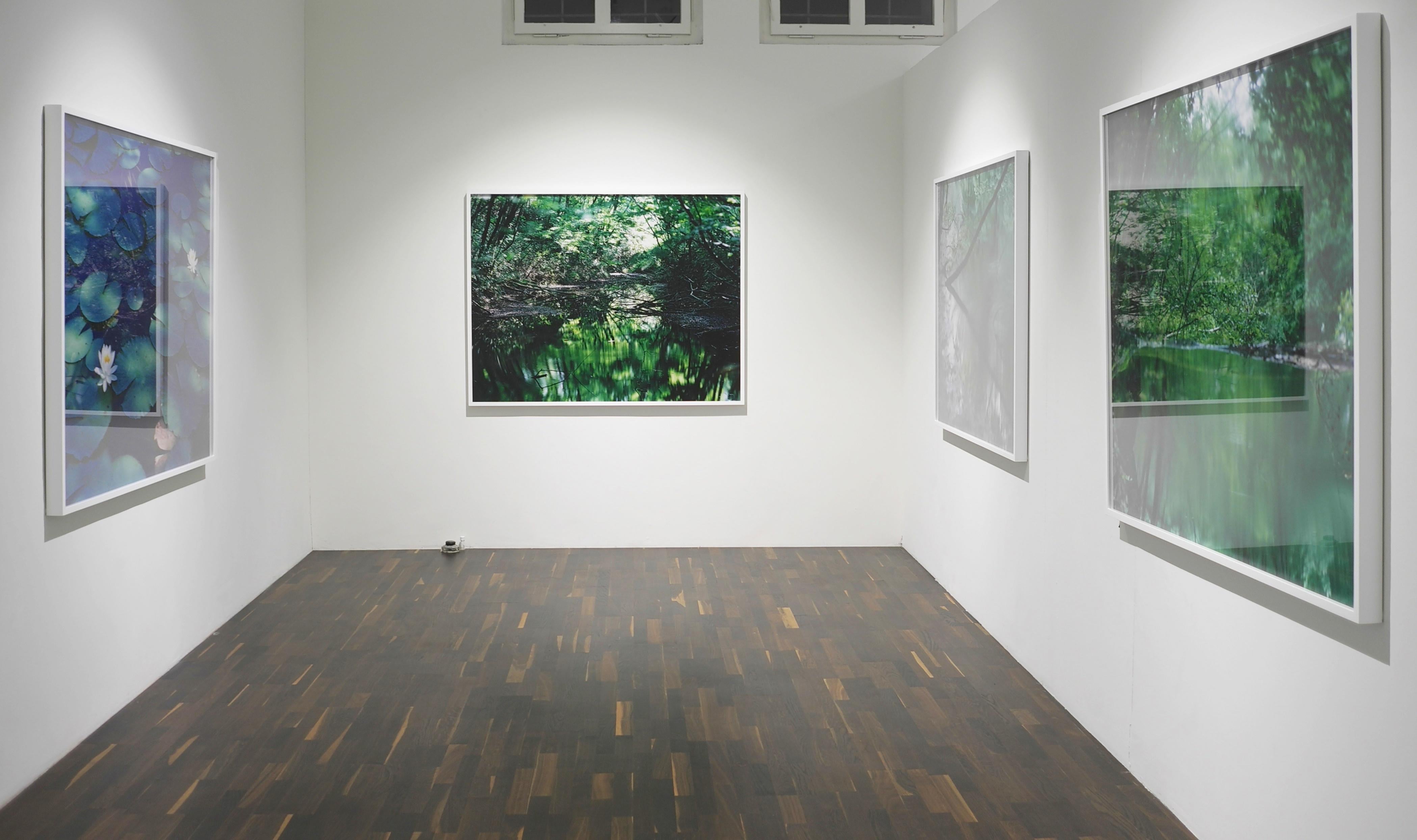 Water Mirror 16, WM-653 – Risaku Suzuki, Nature, Tree, Water, Mirror, Reflection For Sale 5