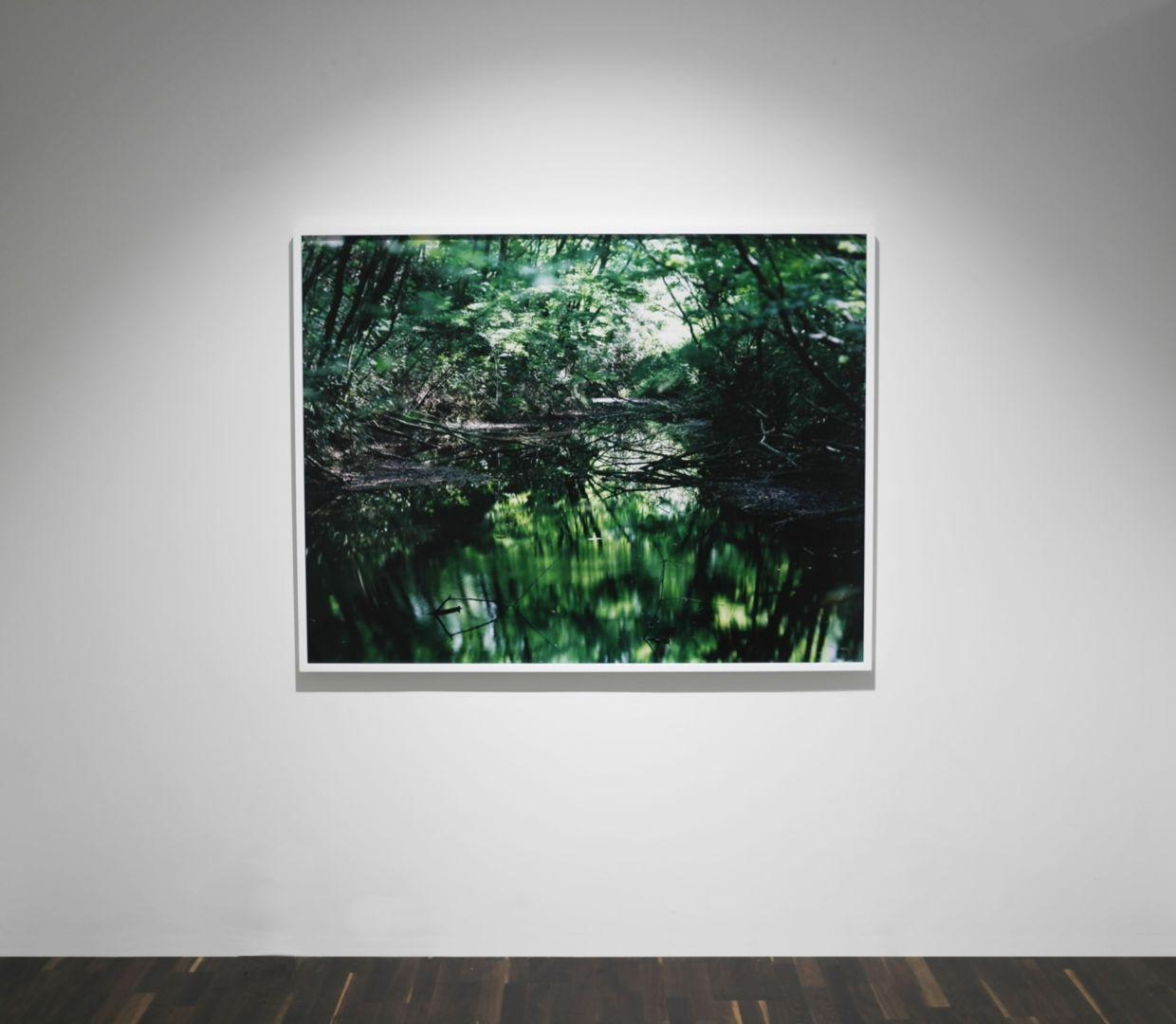 Water Mirror 16, WM-653 – Risaku Suzuki, Nature, Tree, Water, Mirror, Reflection For Sale 6