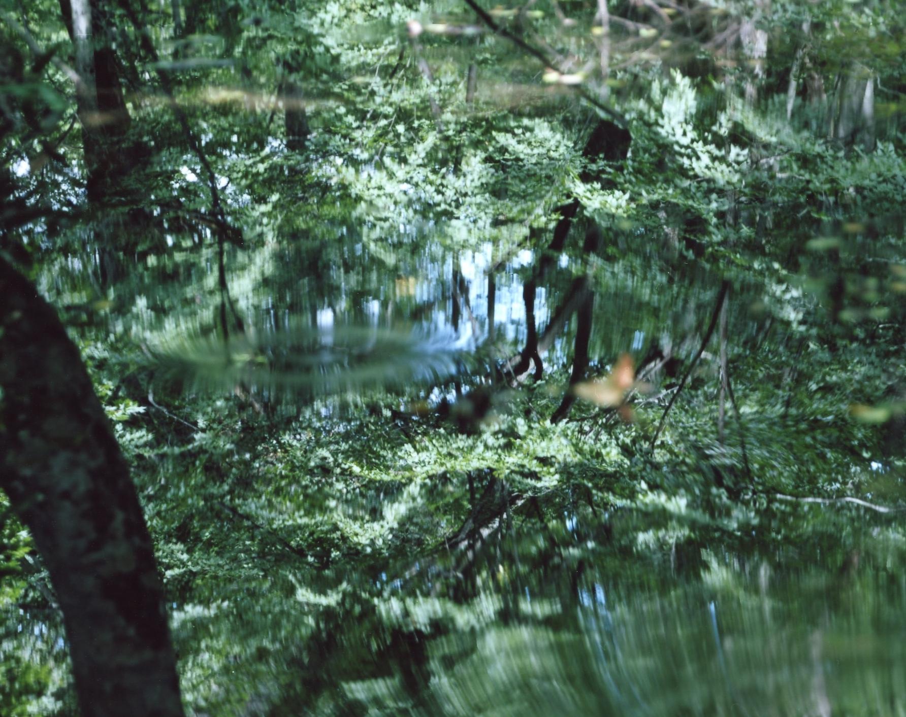 RISAKU SUZUKI (*1963, Japan)
Water Mirror 14,WM-61
2014
Chromogenic print
Sheet 120 x 155 cm (47 1/4 x 61 in.)
Edition of 5; Ed. no. 3/5
Framed

‘Water Mirror’is a condensation of all that makes Suzuki’s photography so appealing: his profound