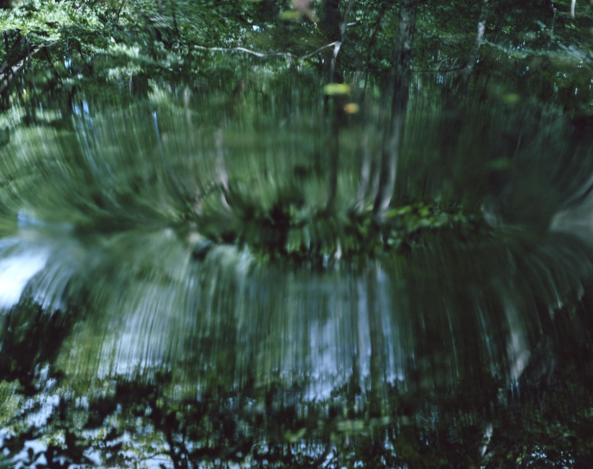 Water Mirror 14, WM-61 – Risaku Suzuki, Nature, Tree, Water, Mirror, Reflection For Sale 2