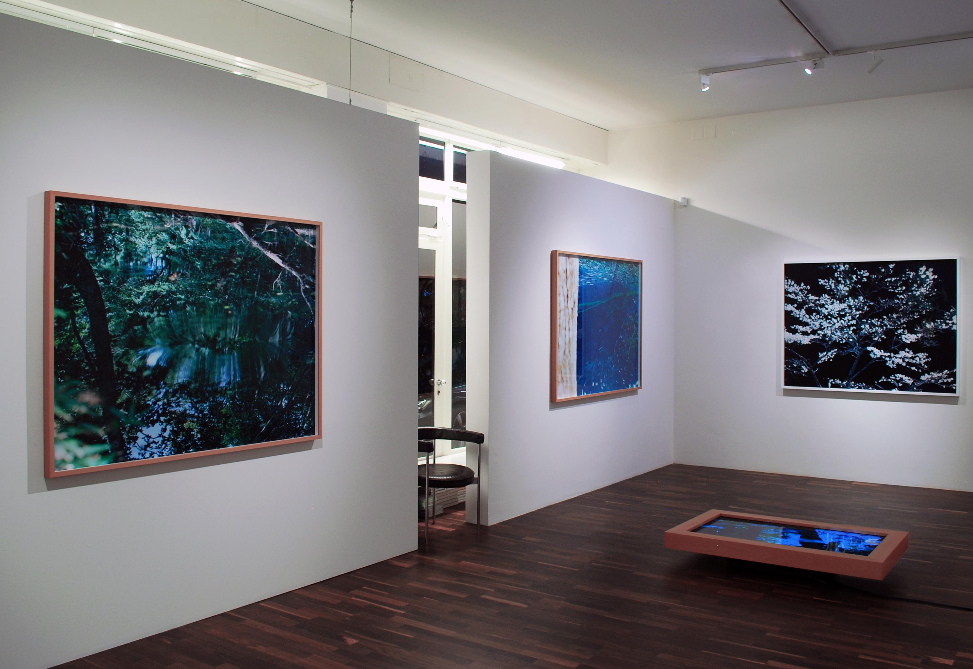 Water Mirror 14, WM-61 – Risaku Suzuki, Nature, Tree, Water, Mirror, Reflection For Sale 4