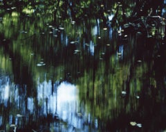 Water Mirror 14, WM-75 – Risaku Suzuki, Nature, Tree, Water, Reflection, Japanese