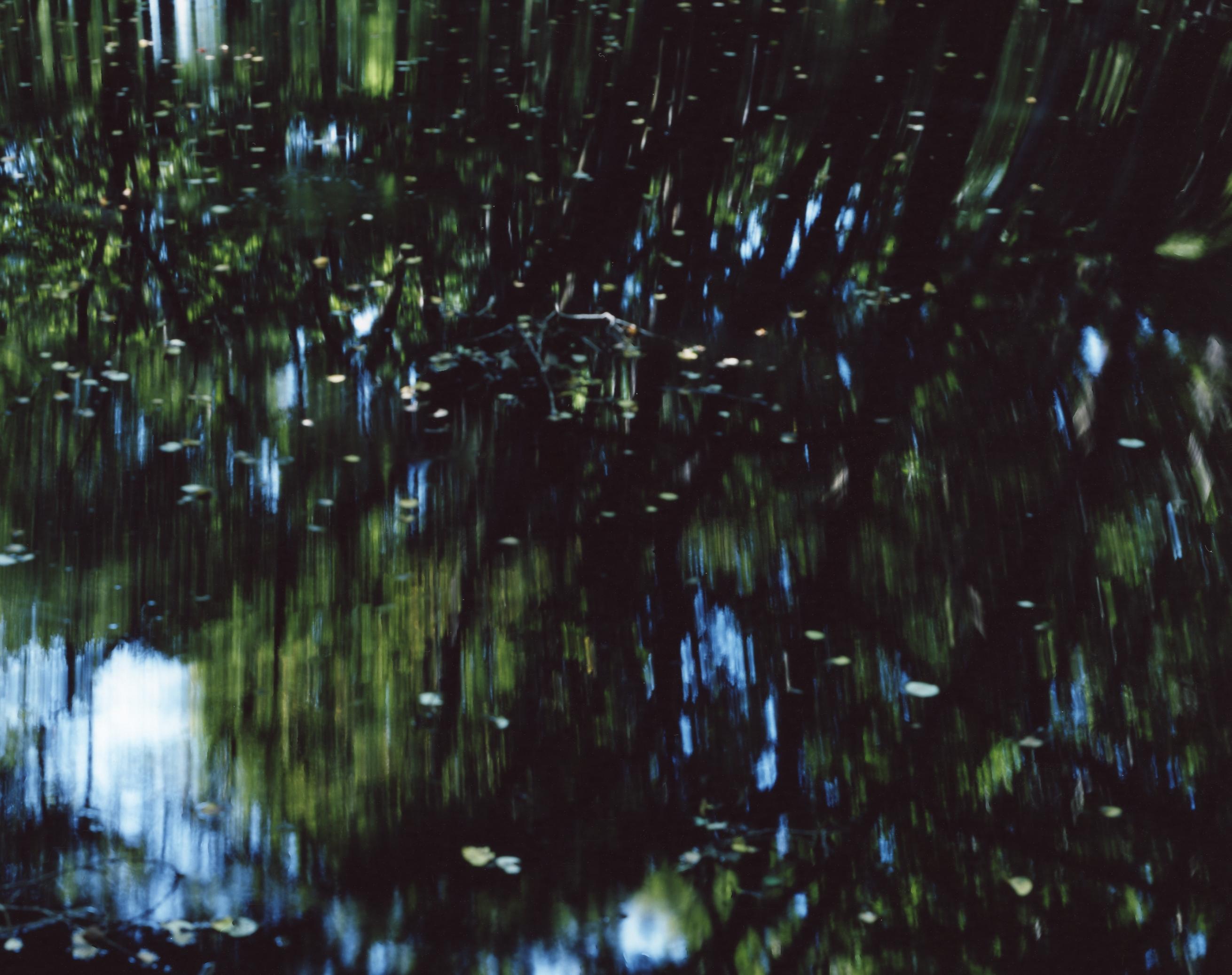 Specchio d'acqua 14, WM-75 - Risaku Suzuki, Natura, Albero, Acqua, Riflesso, Giapponese in vendita 2
