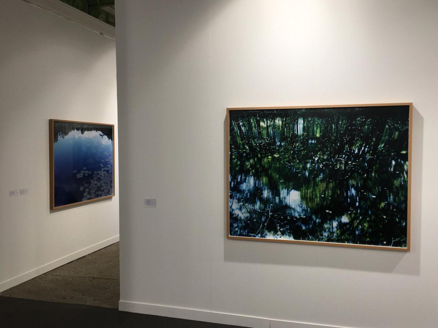 Water Mirror 14, WM-75 – Risaku Suzuki, Nature, Tree, Water, Reflection, Japanese For Sale 3