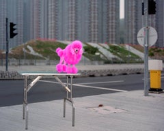 back door 48 – Michael Wolf, Cityscape, Hongkong, Street Photography, Pink dog