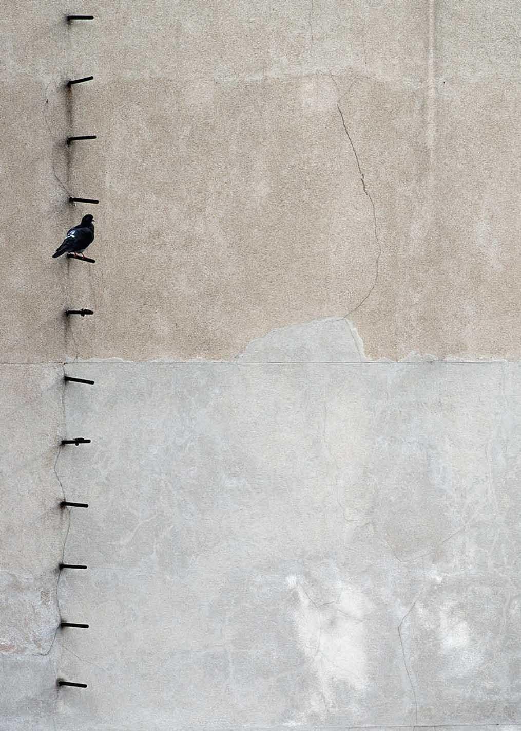 paris Dachplatten 10 Michael Wolf, Stadt, Farbe, Paris, Fotografie, Abstrakt im Angebot 2