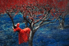 Fendi in Apple Orchard, The Garden – Erik Madigan Heck, Photography, Nature