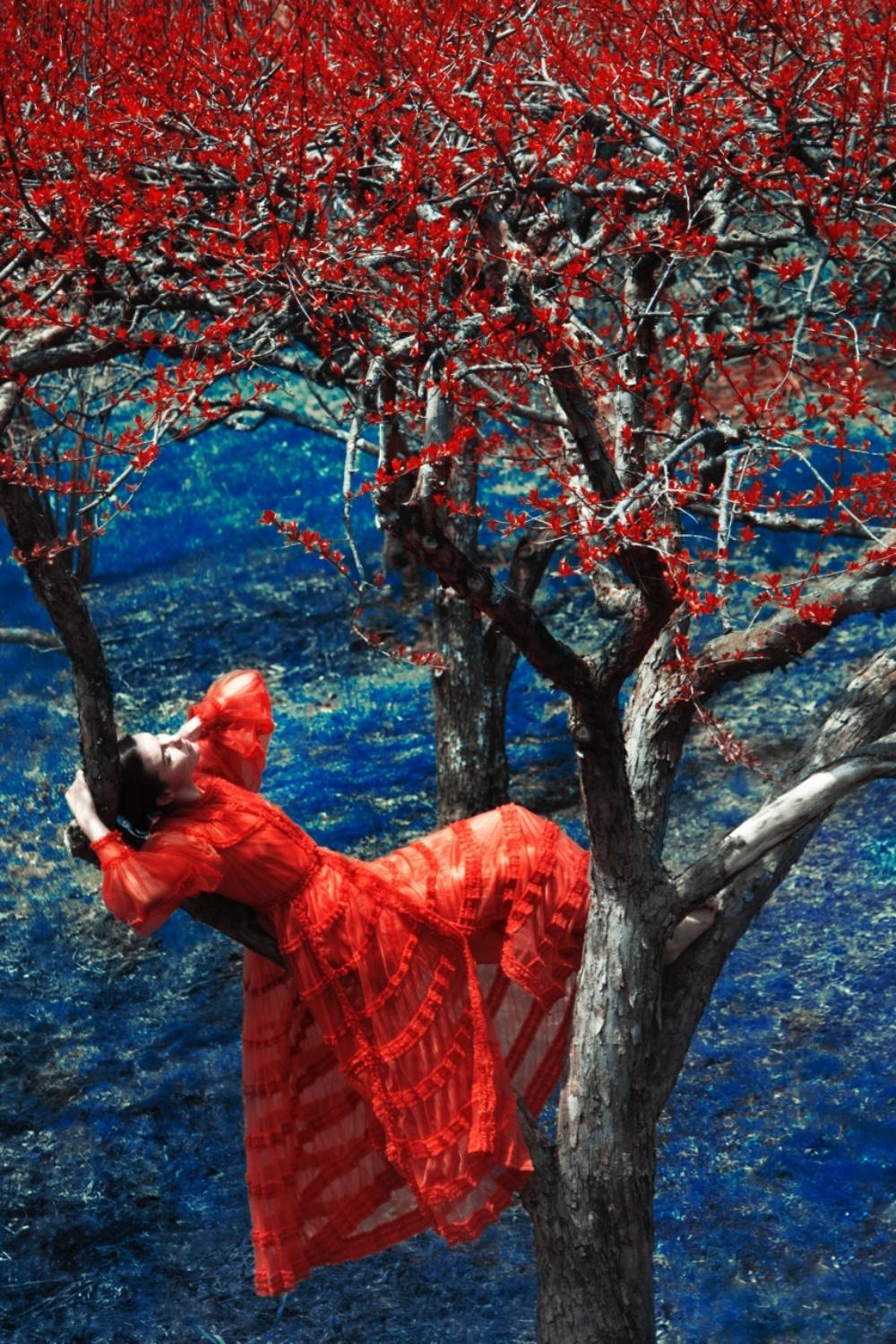 Fendi in Apple Orchard, The Garden Erik Madigan Heck, Fotografie, Natur im Angebot 2
