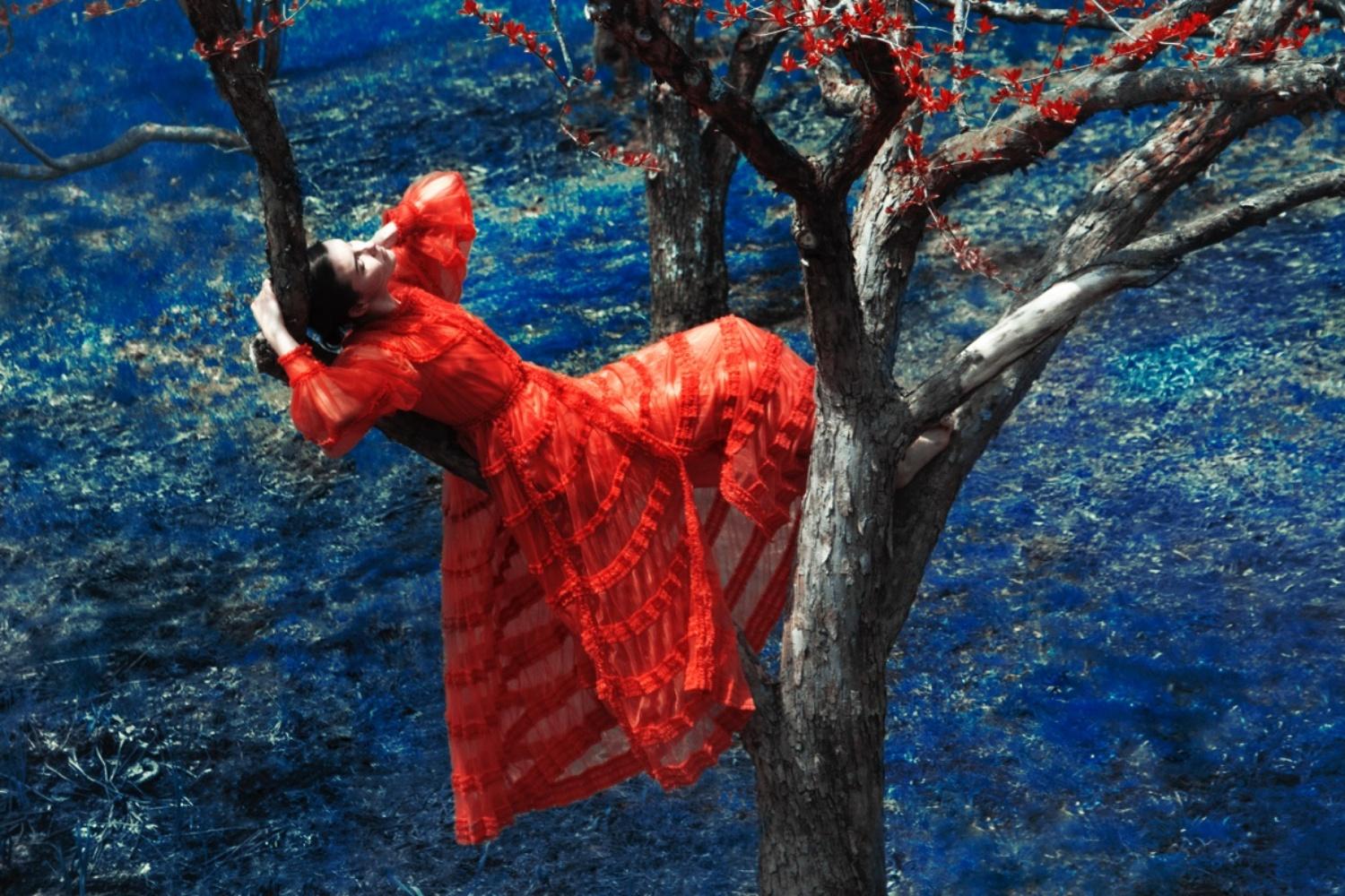 Fendi in Apple Orchard, The Garden – Erik Madigan Heck, Photography, Nature For Sale 1