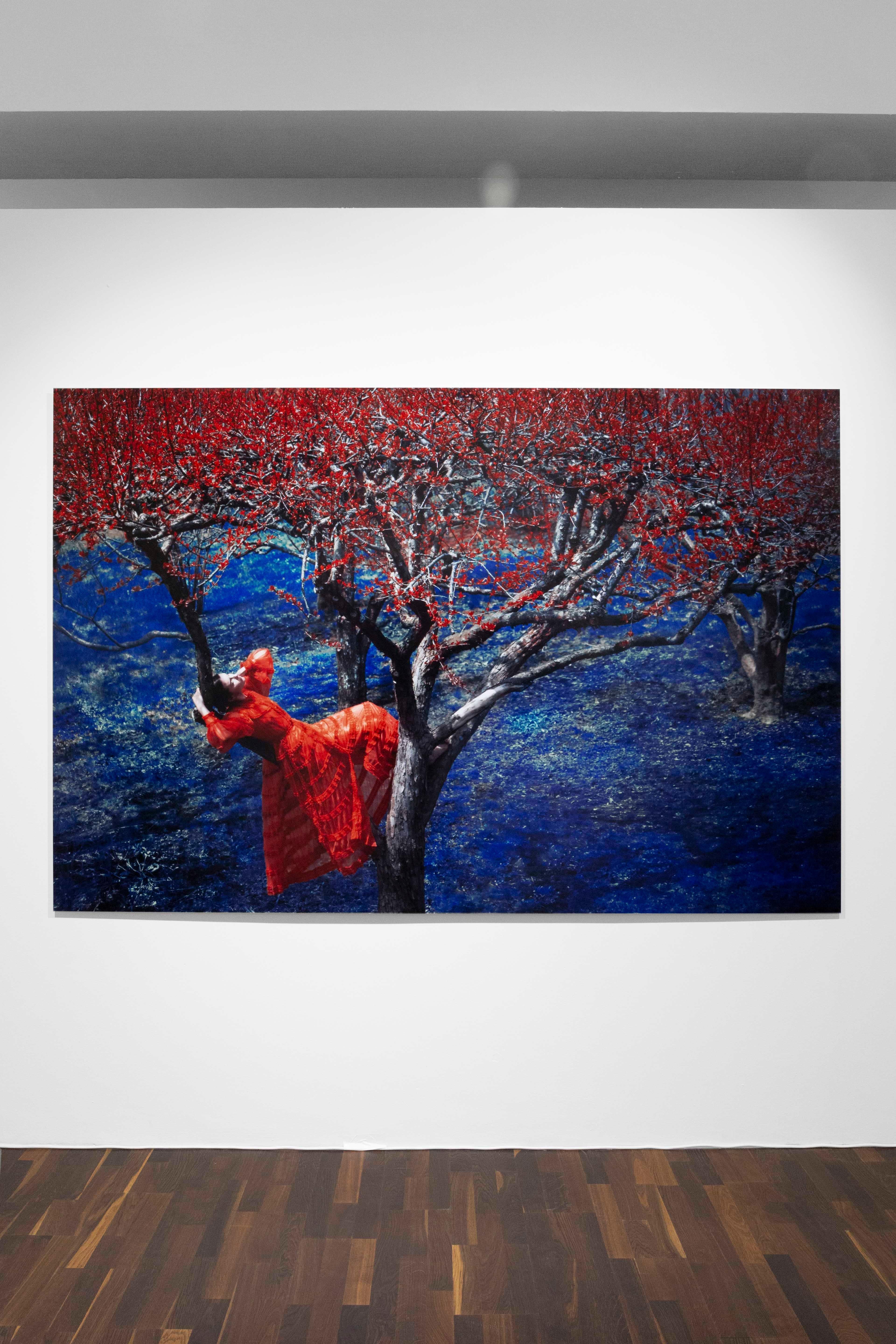 Fendi in Apple Orchard, The Garden Erik Madigan Heck, Fotografie, Natur im Angebot 5