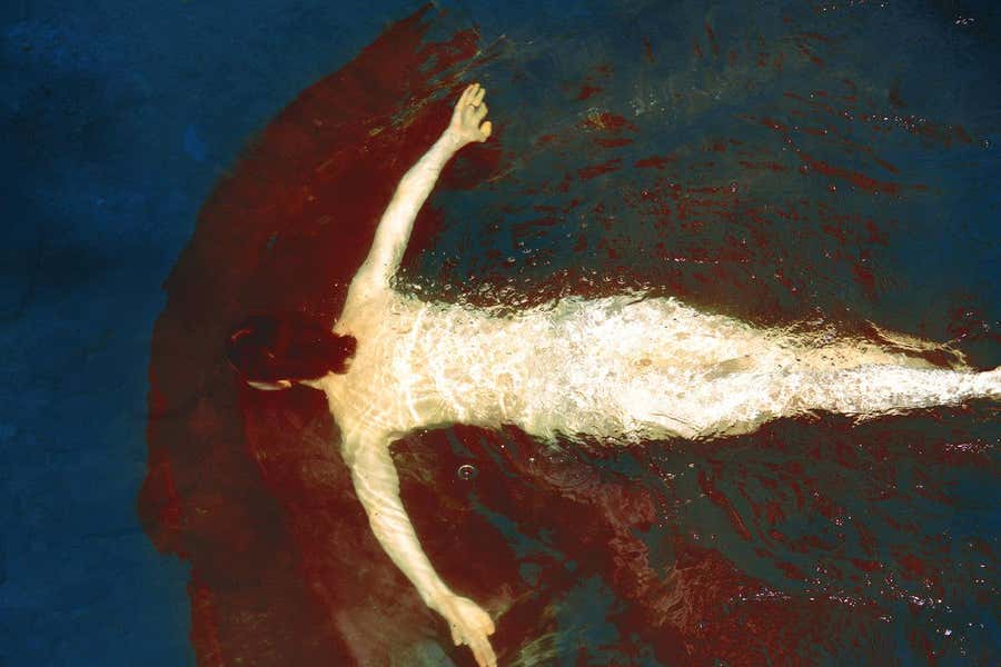 There's Blood in the Water, The Garden – Erik Madigan Heck, Fashion, Nude, Art