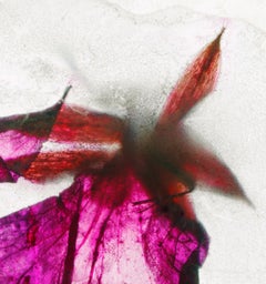 La luz que trae el alba - Brigitte Lustenberger, Flor, Naturaleza muerta, Arte