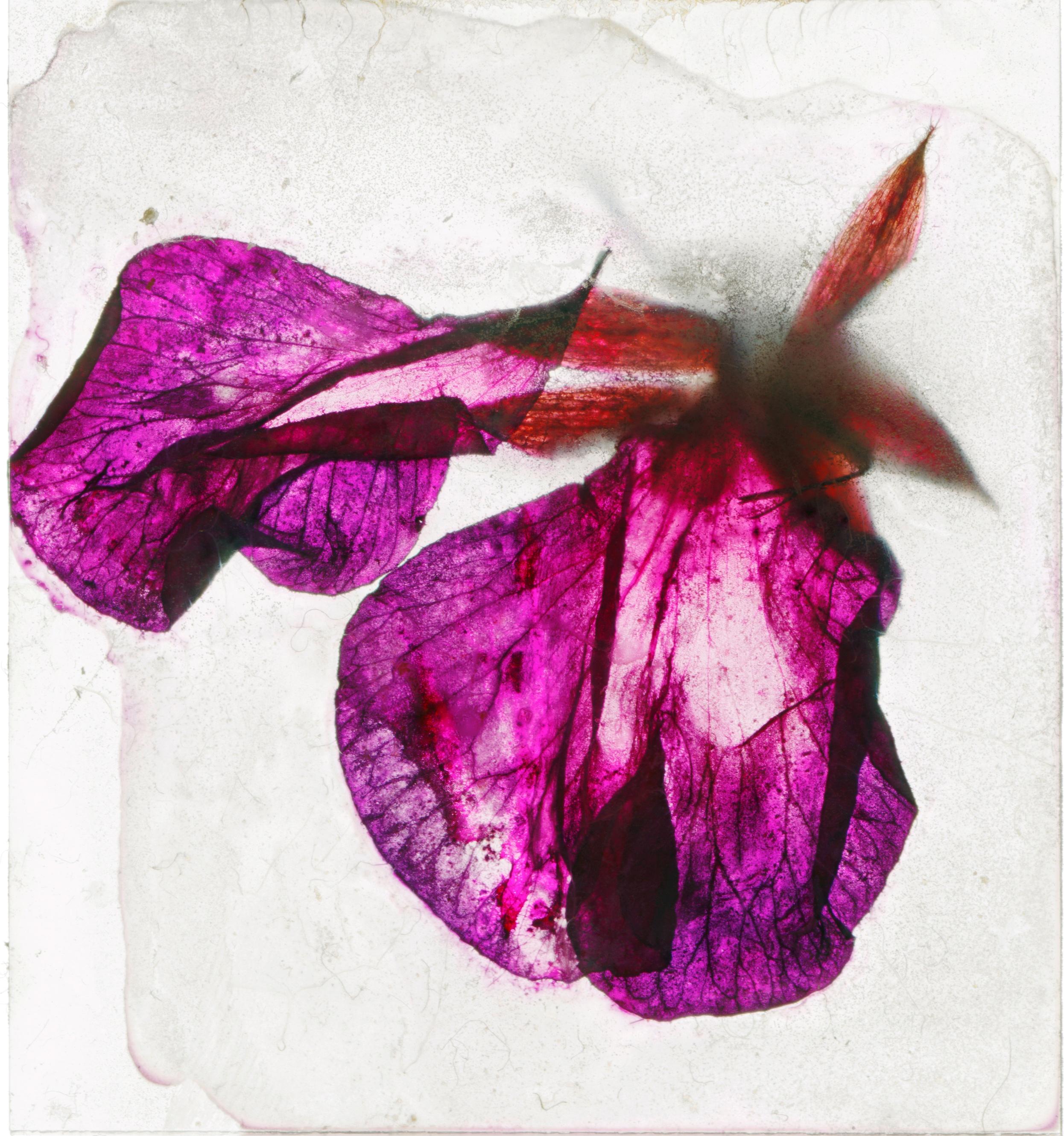 Brigitte Lustenberger, Blumen, Stillleben, Kunst, Licht, Dämmerung im Angebot 4