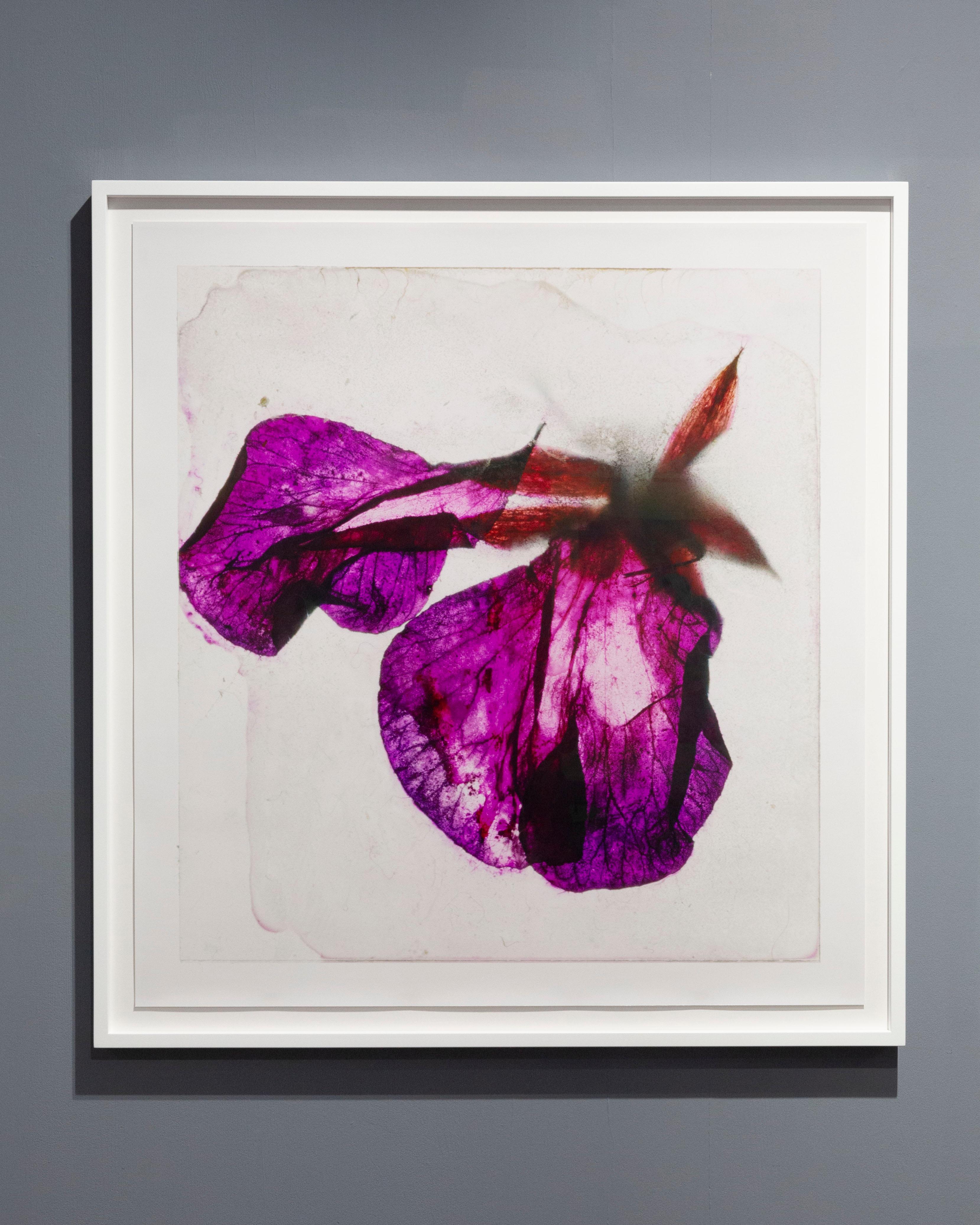 Brigitte Lustenberger, Blumen, Stillleben, Kunst, Licht, Dämmerung im Angebot 5