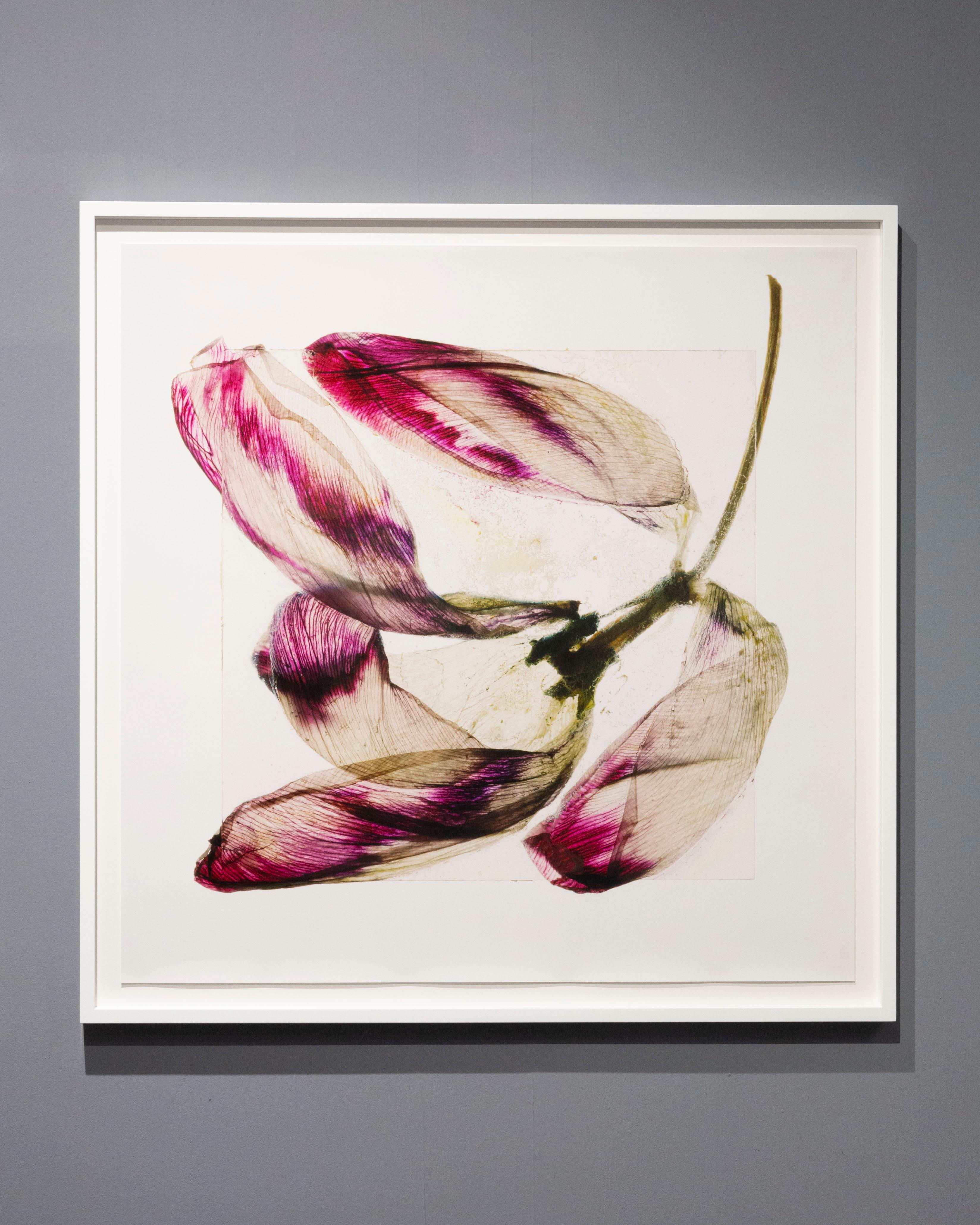 Will blow away tomorrow – Brigitte Lustenberger, Flower, Still Life, Art, Flora For Sale 5