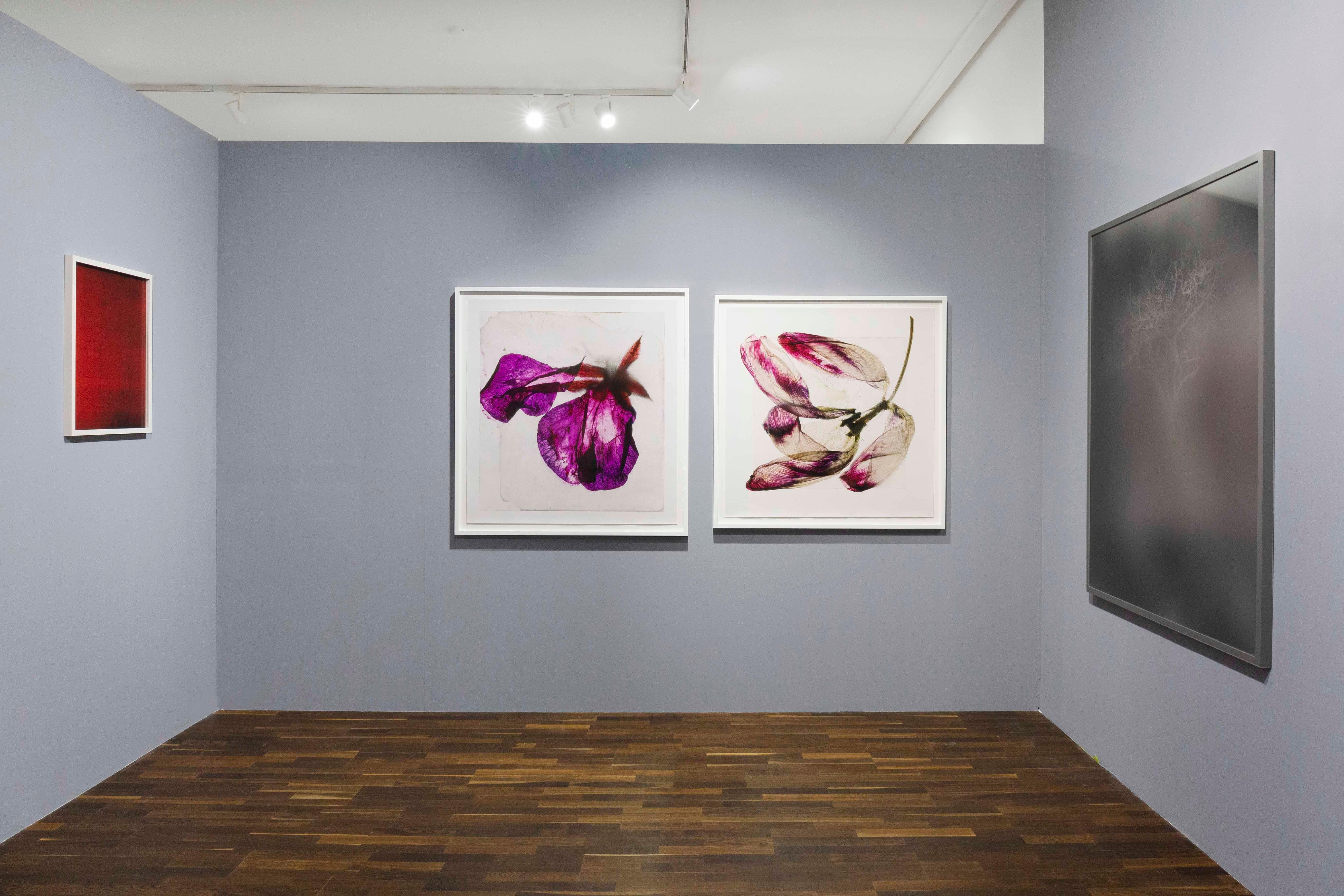Brigitte Lustenberger, Fleur, Nature morte, Art, Flora, Soufflage demain en vente 6