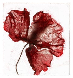 Now is not a time  – Brigitte Lustenberger, Flower, Still Life, Art, Flora