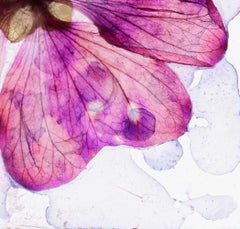 Quand le cœur souffre de fraîcheur Brigitte Lustenberger, Fleur, Nature morte