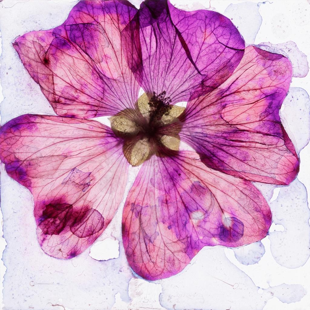 Das Herz ist frisch gehüllt  Brigitte Lustenberger, Blume, Stillleben im Angebot 4