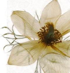 À moins qu'il n'ait pas à se terminer Brigitte Lustenberger, Fleur, Nature morte