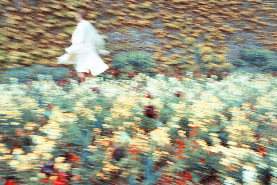 Aberglasney Gardens – Erik Madigan Heck, Fashion, Art, Nature, Flowers, Garden