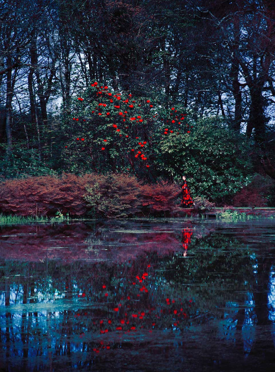 Audrey in McQueen, The Absorbed Tradition – Erik Madigan Heck, Fashion , Nature