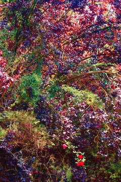 The Gardens of Ninfa, Old Future  – Erik Madigan Heck, Pool, Woman, Fashion, Art