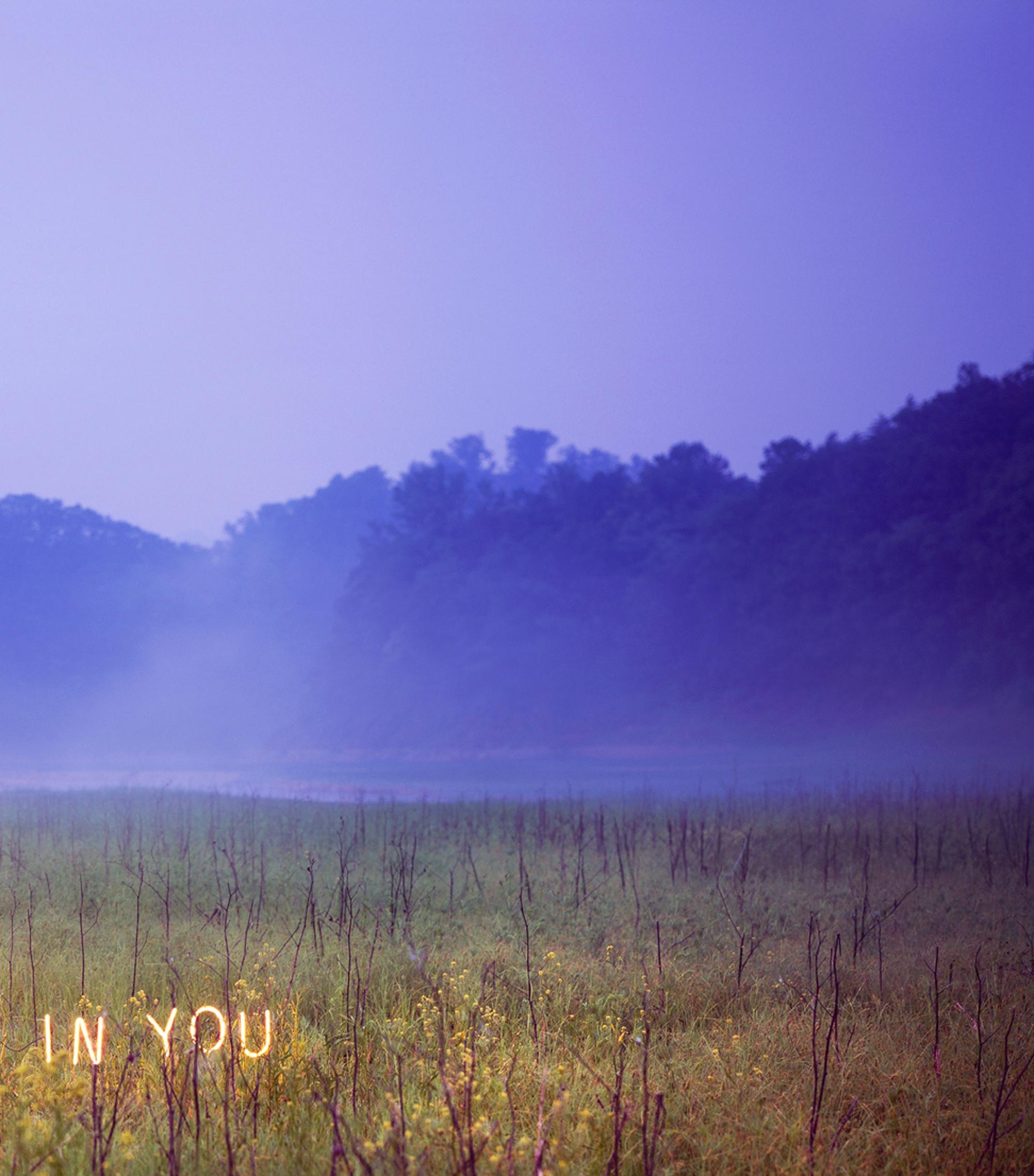 I Am Lost In You, aus der Serie „Aporia“ Jung Lee, Neon, Licht, Natur, Kunst 2