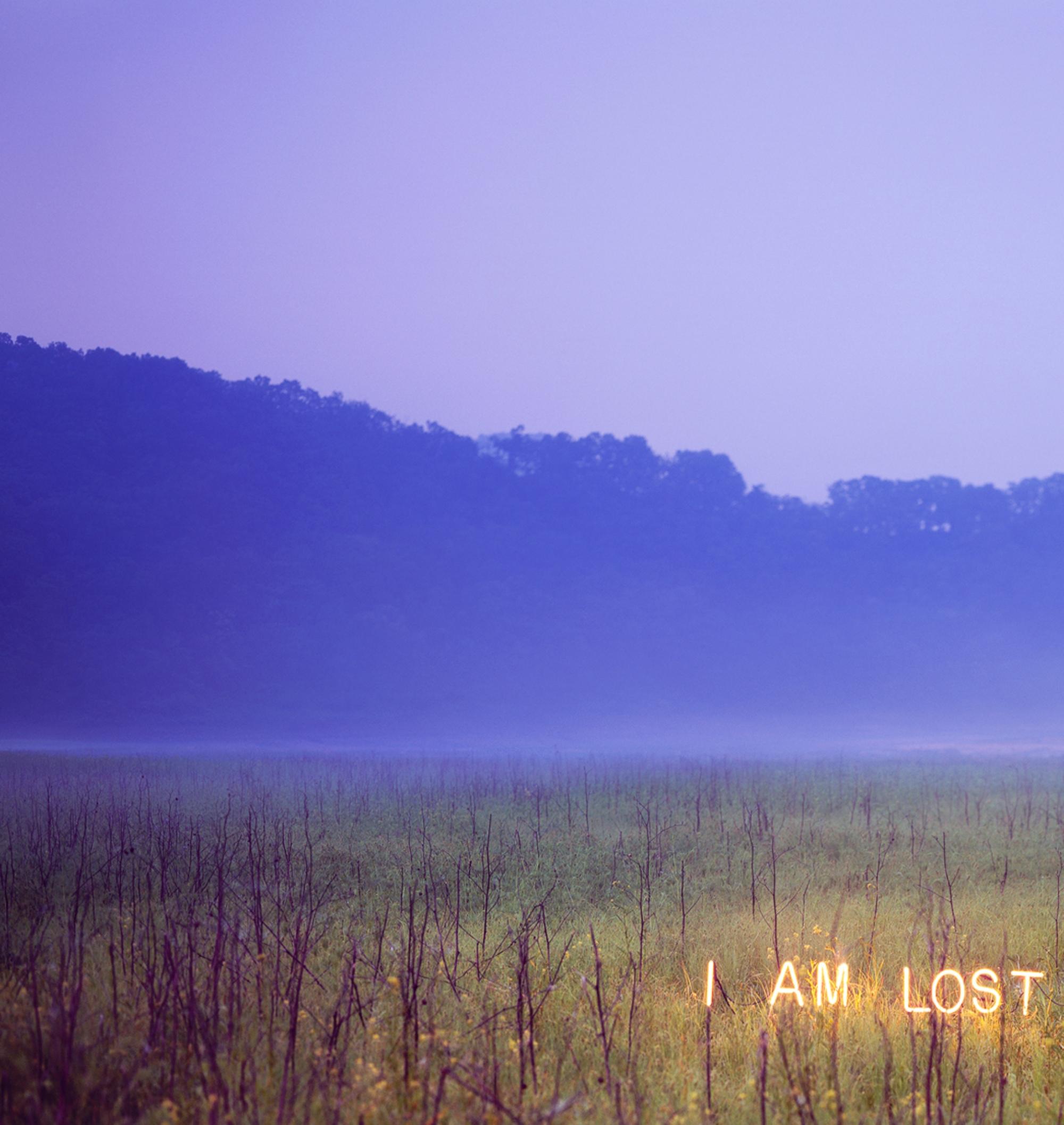 I Am Lost In You, aus der Serie „Aporia“ Jung Lee, Neon, Licht, Natur, Kunst 3
