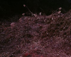 Only God Knows, From the Series 'Aporia' – Jung Lee, Neon, Light, Night, Nature