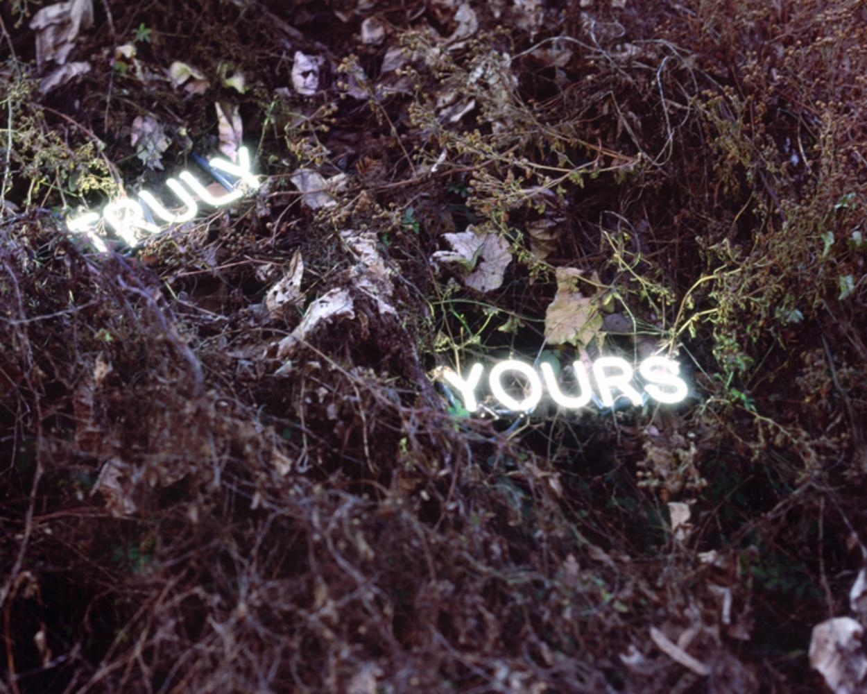 Truly, Yours, aus der Serie „Aporia“ Jung Lee, Neon, Licht, Nacht im Angebot 2