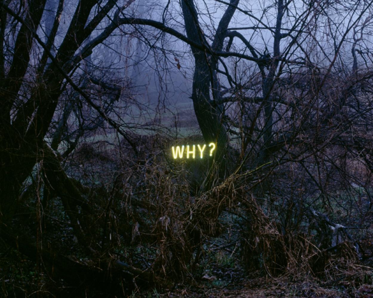 Why?#2, From the Series 'Aporia' – Jung Lee, Neon, Light, Landscape, Nature For Sale 3
