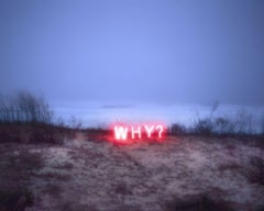 Why?#3, From the Series 'Aporia' – Jung Lee, Neon, Light, Landscape, Nature, Art