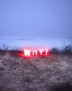 Warum?#3, aus der Serie „Aporia“ Jung Lee, Neon, Licht, Landschaft, Natur, Kunst