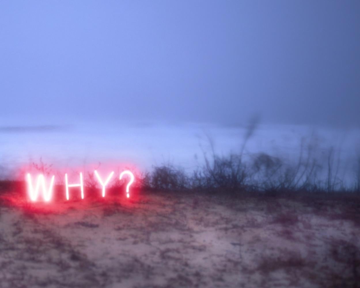 Perché? #3, dalla serie 'Aporia' - Jung Lee, Neon, Luce, Paesaggio, Natura, Arte in vendita 3
