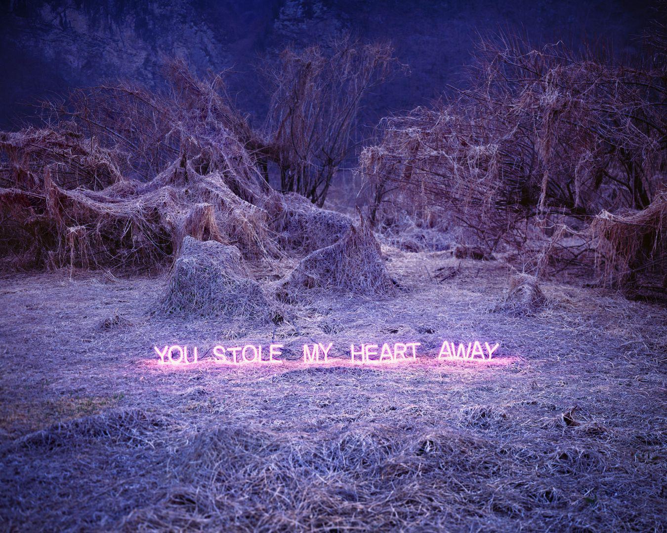 Jung LEE (*1972, Südkorea)
Du hast mein Herz gestohlen, 2017
C-Typ Druck, Diasec
160 x 200 cm (63 x 78 3/4 Zoll)
Auflage von 5, plus 2 AP

- Biographie 

Jung Lee ist eine koreanische Künstlerin, die 1972 in Seoul geboren wurde und vor allem für