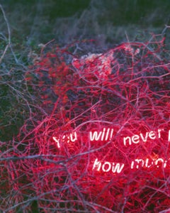 You Will Never Know How Much I Love You, From the Series 'Aporia' – Jung Lee