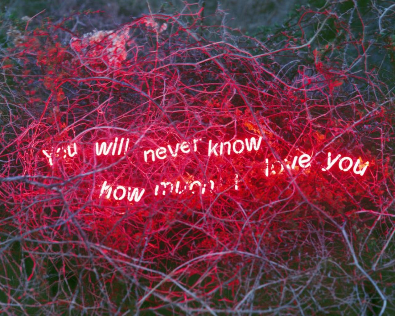 You Will Never Know How Much I Love You, From the Series 'Aporia' – Jung Lee For Sale 1