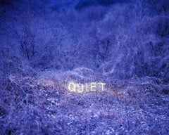 QUIET – Jung Lee, Neon, Light, Landscape, Nature, Sculpture, Night, Colour, Art