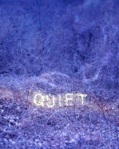 QUIET Jung Lee, Neon, lumière, paysage, nature, sculpture, nuit, couleur, art
