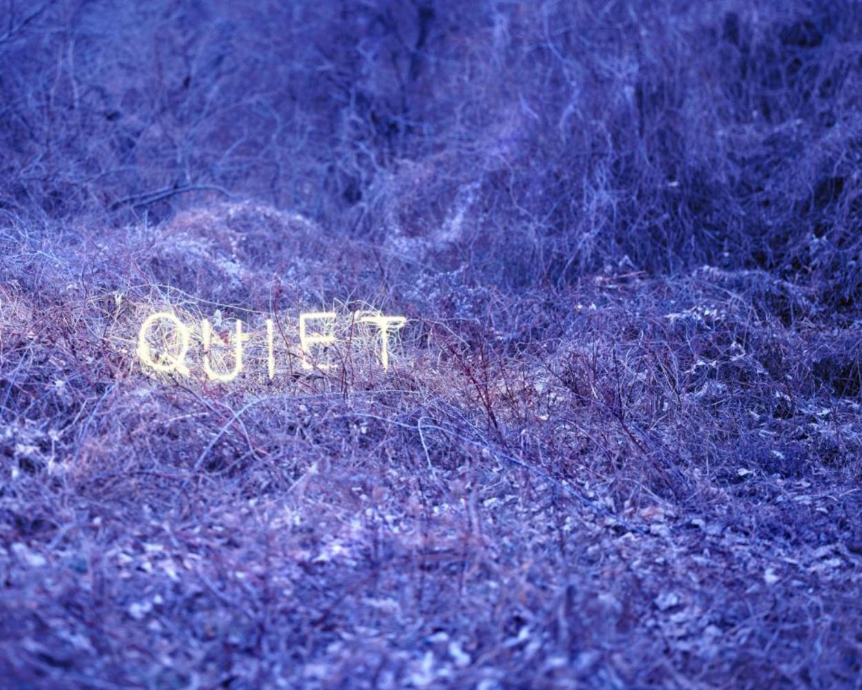 QUIET Jung Lee, Neon, Licht, Landschaft, Natur, Skulptur, Nacht, Farbe, Kunst im Angebot 3