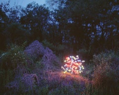 Sanyuhwa (Der Gedicht Blumen auf den Hügeln von Kim Sowol) Jung Lee, Neon, Licht