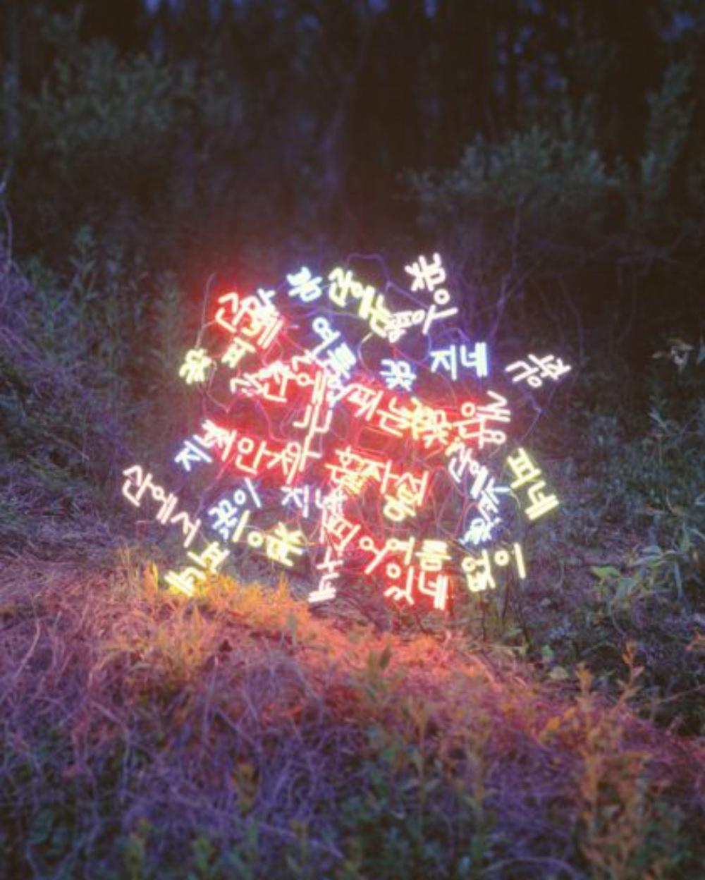 Sanyuhwa (The Poem Flowers on the Hills (Les fleurs du poème sur les collines de Kim Sowol) Jung Lee, Neon, Light en vente 1