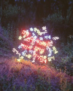 Sanyuhwa (The Poem Flowers on the Hills (Les fleurs du poème sur les collines de Kim Sowol) Jung Lee, Neon, Light