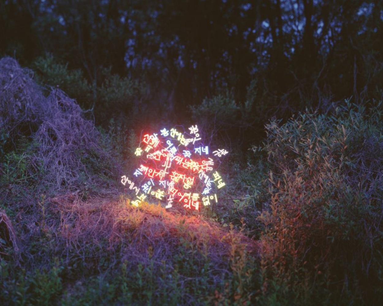 Sanyuhwa (The Poem ‘Flowers on the Hills’ by Kim Sowol) – Jung Lee, Neon, Light For Sale 1